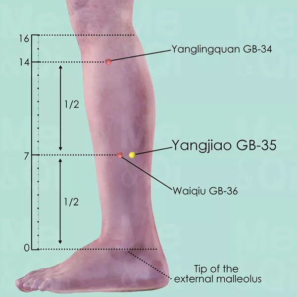 Yangjiao GB-35 - Skin view - Acupuncture point on Gall Bladder Channel