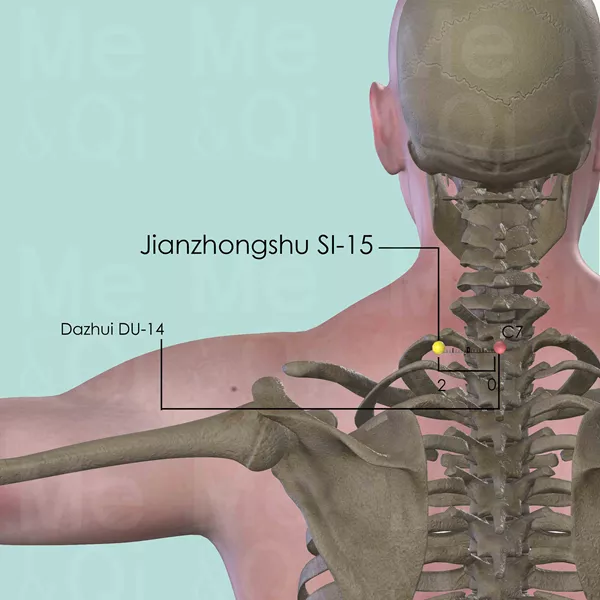 Jianzhongshu SI-15 - Bones view - Acupuncture point on Small Intestine Channel