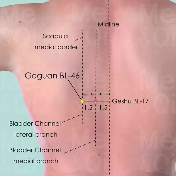 Geguan BL-46 - Skin view - Acupuncture point on Bladder Channel