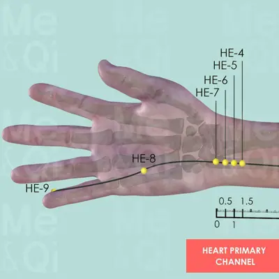 Heart Primary Channel pathway