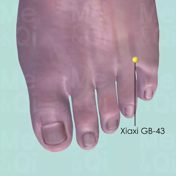 Xiaxi GB-43 - Skin view - Acupuncture point on Gall Bladder Channel
