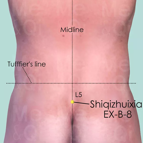 Shiqizhuixia EX-B-8 - Skin view - Acupuncture point on Extra Points: Back (EX-B)