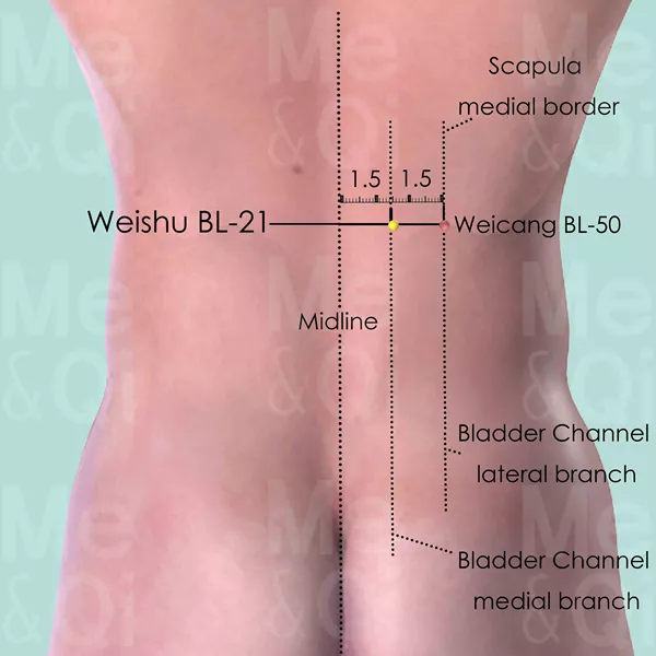 Weishu BL-21 - Skin view - Acupuncture point on Bladder Channel