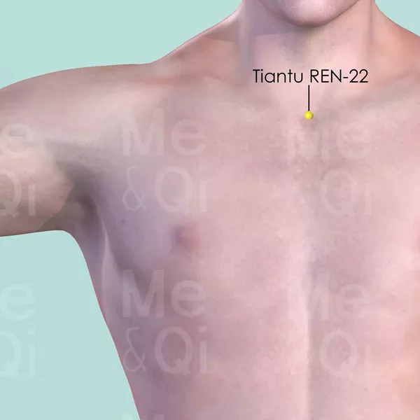 Tiantu REN-22 - Skin view - Acupuncture point on Directing Vessel