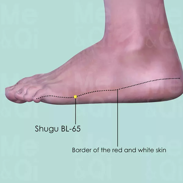 Shugu BL-65 - Skin view - Acupuncture point on Bladder Channel