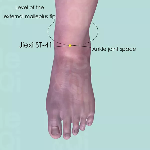Jiexi ST-41 - Skin view - Acupuncture point on Stomach Channel
