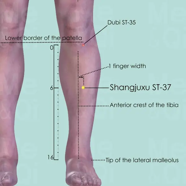 Shangjuxu ST-37 location