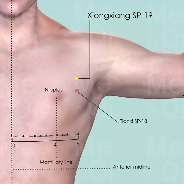 Xiongxiang SP-19 - Skin view - Acupuncture point on Spleen Channel