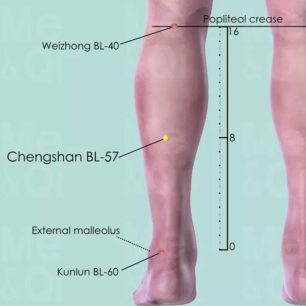 Chengshan BL-57 - Skin view - Acupuncture point on Bladder Channel