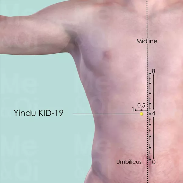 Yindu KID-19 - Skin view - Acupuncture point on Kidney Channel