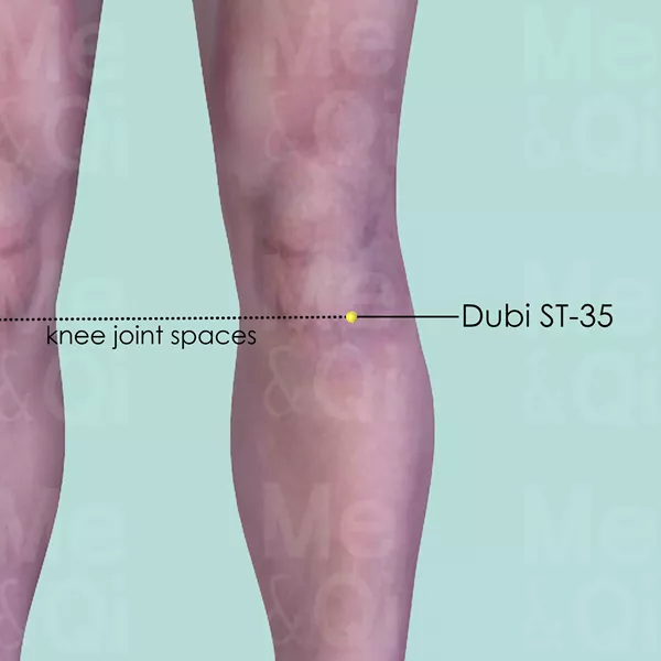 Dubi ST-35 - Skin view - Acupuncture point on Stomach Channel