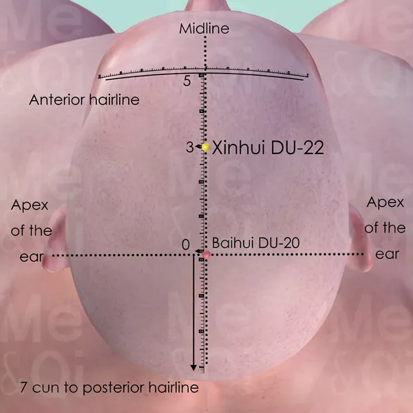 Xinhui DU-22 - Skin view - Acupuncture point on Governing Vessel