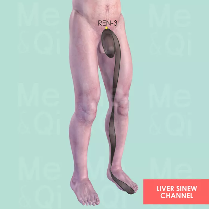 Liver Sinew Channel