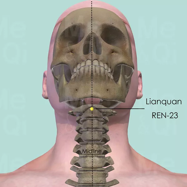 Lianquan REN-23 - Bones view - Acupuncture point on Directing Vessel
