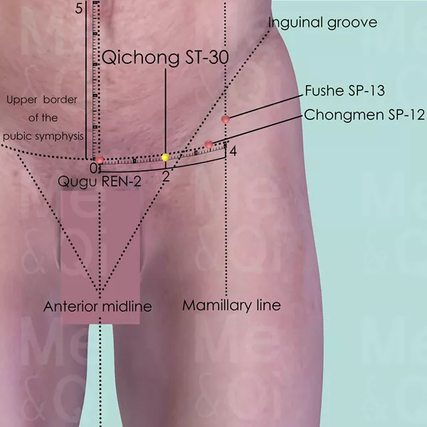 Qichong ST-30 - Skin view - Acupuncture point on Stomach Channel