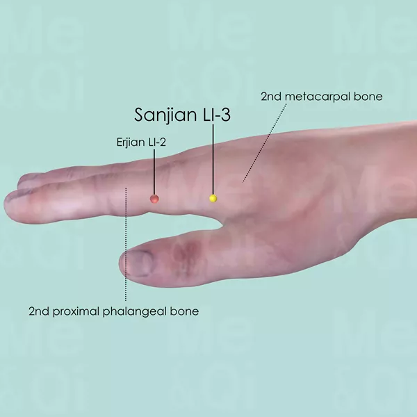 Sanjian LI-3 - Skin view - Acupuncture point on Large Intestine Channel