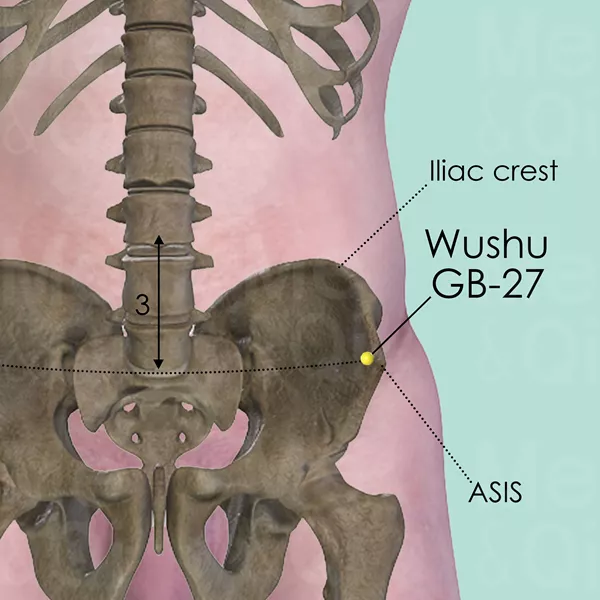 Wushu GB-27 - Bones view - Acupuncture point on Gall Bladder Channel