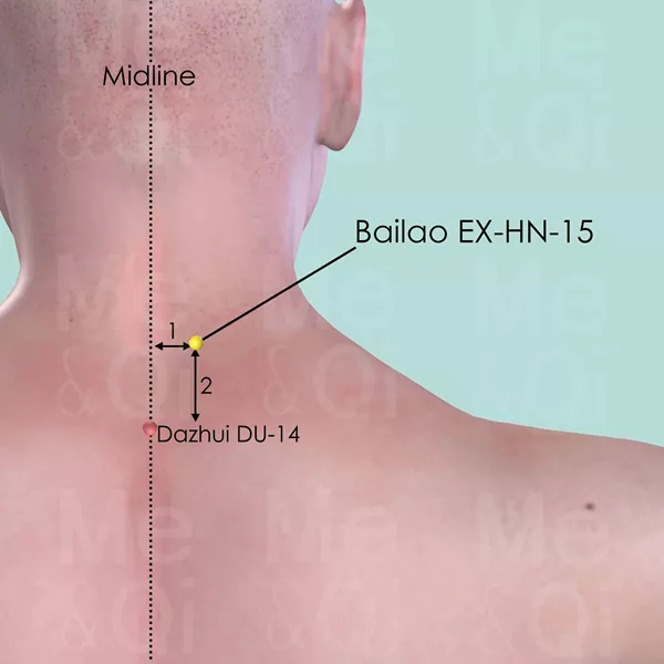 Bailao EX-HN-15 - Skin view - Acupuncture point on Extra Points: Head and Neck (EX-HN)