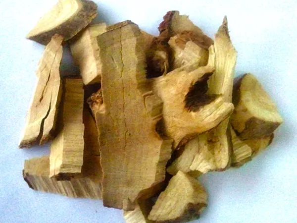 What Dichroa root looks like as a TCM ingredient