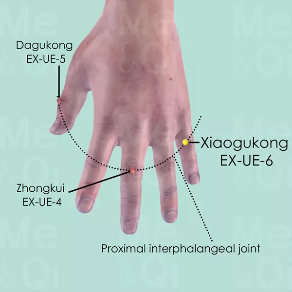 Xiaogukong EX-UE-6 - Skin view - Acupuncture point on Extra Points: Upper Extremities (EX-UE)
