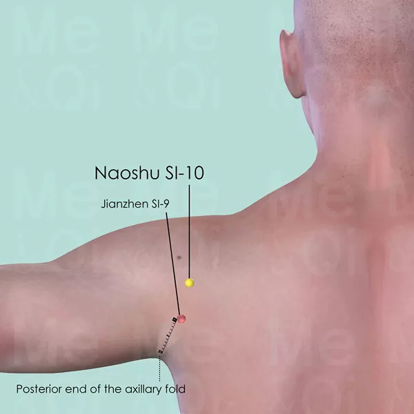 Naoshu SI-10 - Skin view - Acupuncture point on Small Intestine Channel