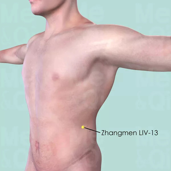 Zhangmen LIV-13 - Skin view - Acupuncture point on Liver Channel