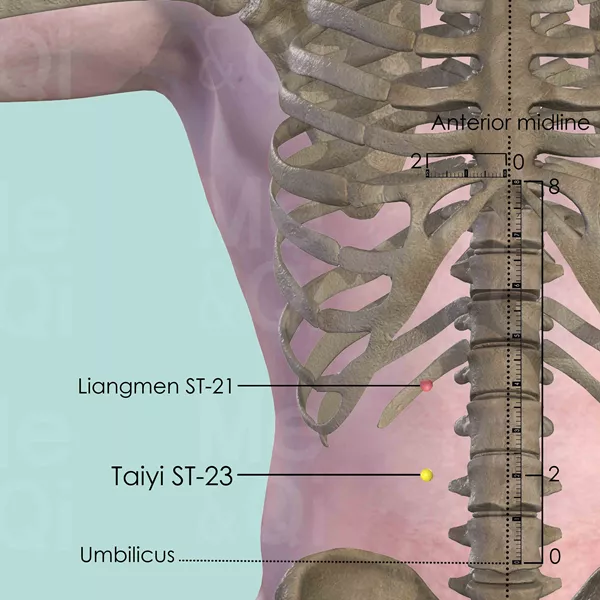 Taiyi ST-23 - Bones view - Acupuncture point on Stomach Channel