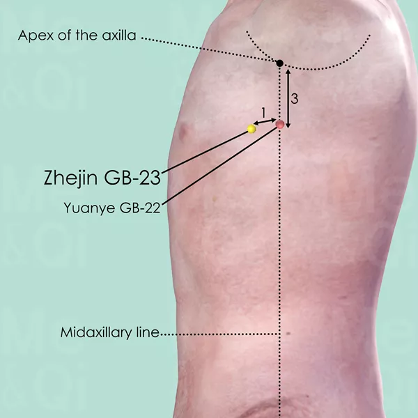 Zhejin GB-23 - Skin view - Acupuncture point on Gall Bladder Channel