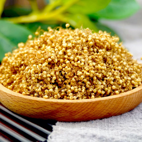 Gǔ Yá (Millet sprout ) as TCM ingredient
