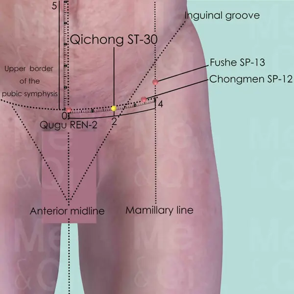 Qichong ST-30 location