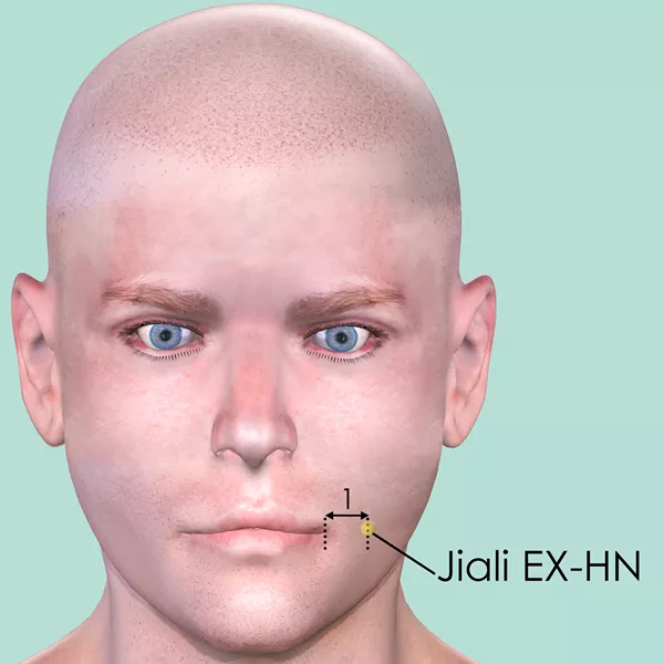 Jiali EX-HN - Skin view - Acupuncture point on Extra Points: Head and Neck (EX-HN)