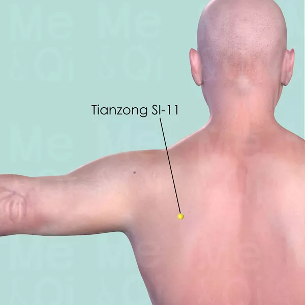Tianzong SI-11 - Skin view - Acupuncture point on Small Intestine Channel