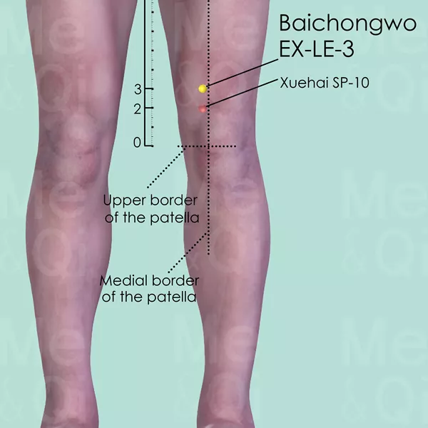 Baichongwo EX-LE-3 - Skin view - Acupuncture point on Extra Points: Lower Extremities (EX-LE)
