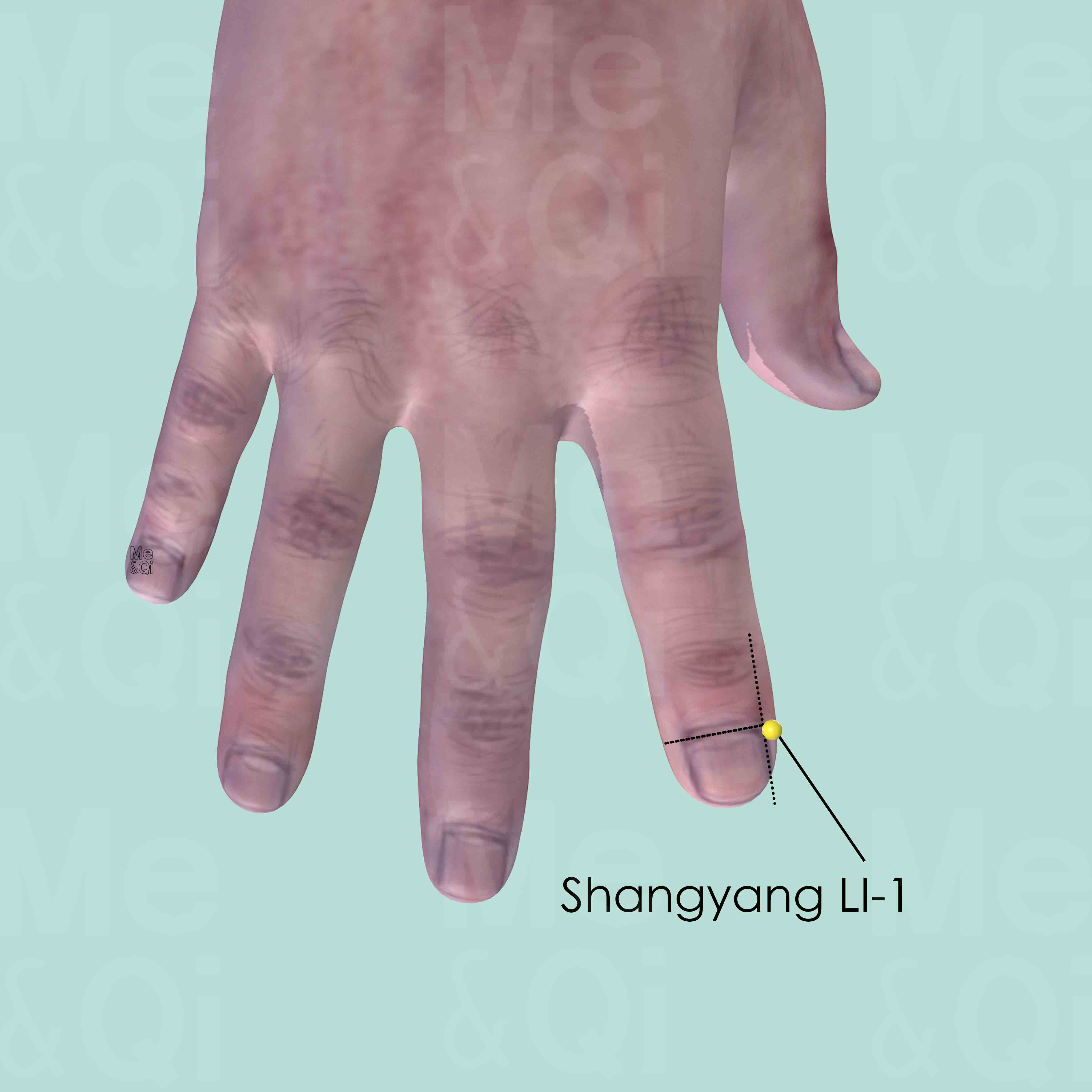 Shangyang LI-1