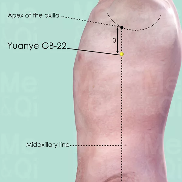 Yuanye GB-22 - Skin view - Acupuncture point on Gall Bladder Channel
