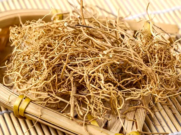 What Paniculate swallowwort root looks like as a TCM ingredient