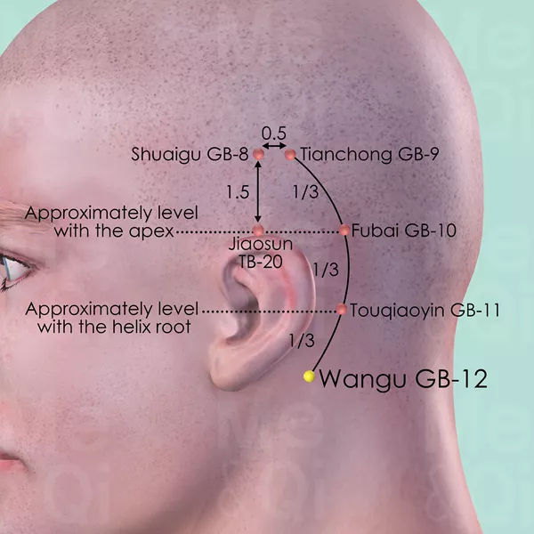 Wangu GB-12 - Skin view - Acupuncture point on Gall Bladder Channel