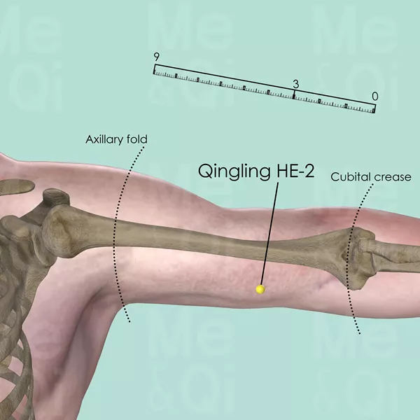Qingling HE-2 - Bones view - Acupuncture point on Heart Channel