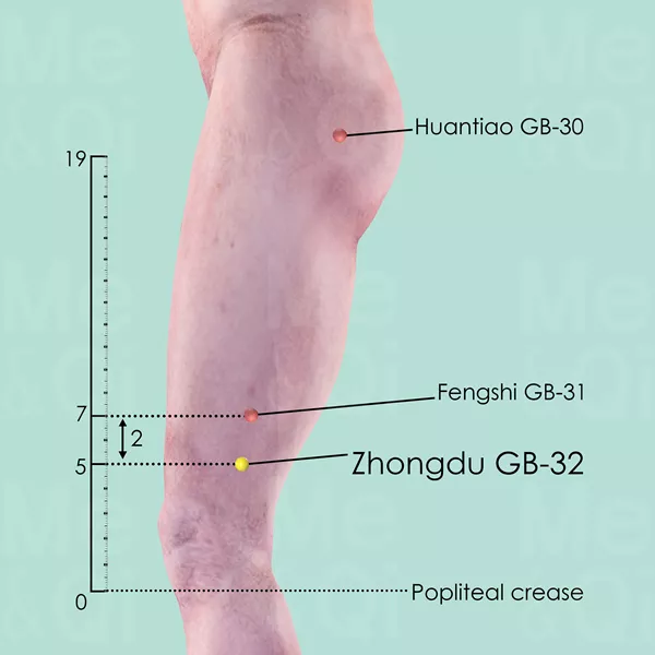 Zhongdu GB-32 - Skin view - Acupuncture point on Gall Bladder Channel