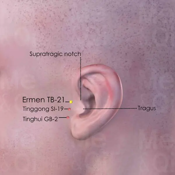 Ermen SJ-21 location