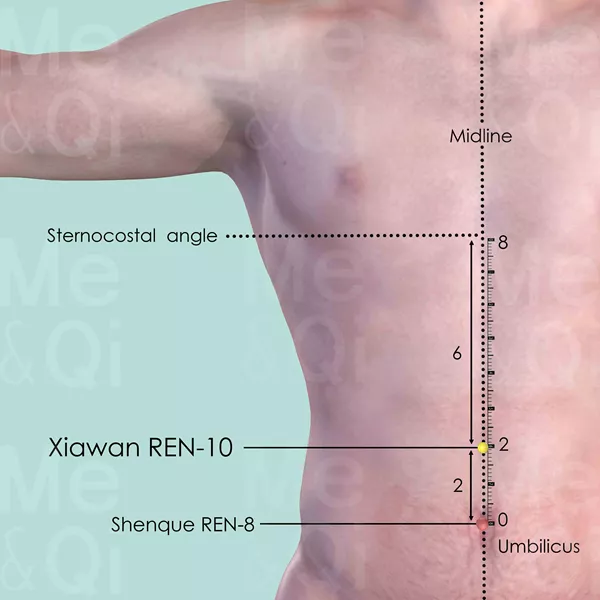 Xiawan REN-10 - Skin view - Acupuncture point on Directing Vessel
