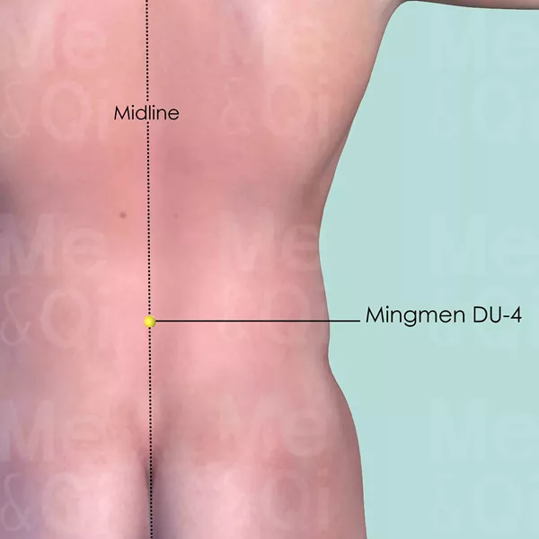 Mingmen DU-4 - Skin view - Acupuncture point on Governing Vessel