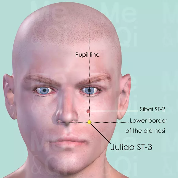 Juliao ST-3 - Skin view - Acupuncture point on Stomach Channel