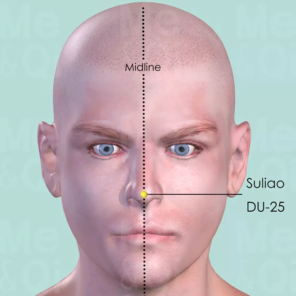 Suliao DU-25 - Skin view - Acupuncture point on Governing Vessel