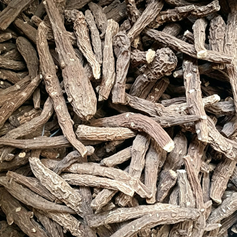 Xue Shang Yi Zhi Hao (Snow Monkshood Root) as TCM ingredient
