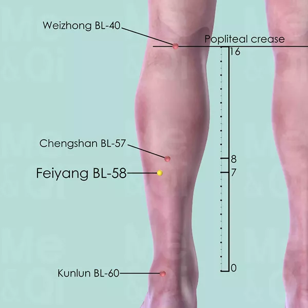 Feiyang BL-58 - Skin view - Acupuncture point on Bladder Channel