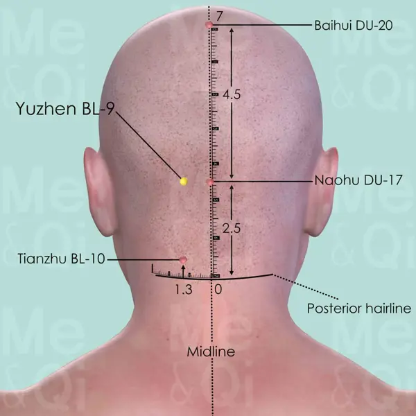 Yuzhen BL-9 location