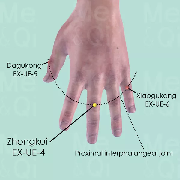 Zhongkui EX-UE-4 - Skin view - Acupuncture point on Extra Points: Upper Extremities (EX-UE)