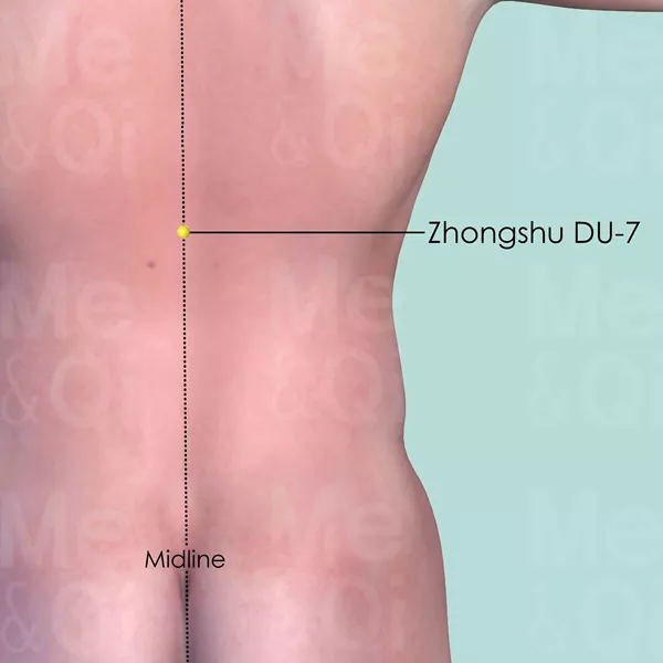 Zhongshu DU-7 - Skin view - Acupuncture point on Governing Vessel