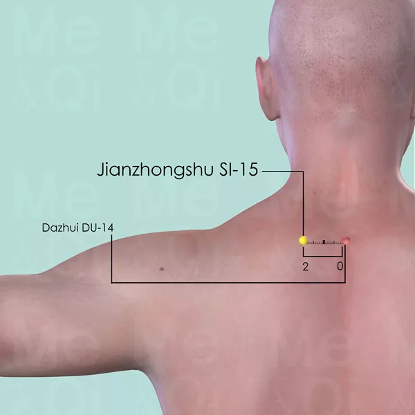 Jianzhongshu SI-15 - Skin view - Acupuncture point on Small Intestine Channel
